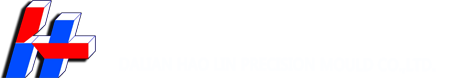 大連皓麟精密金型有限会社